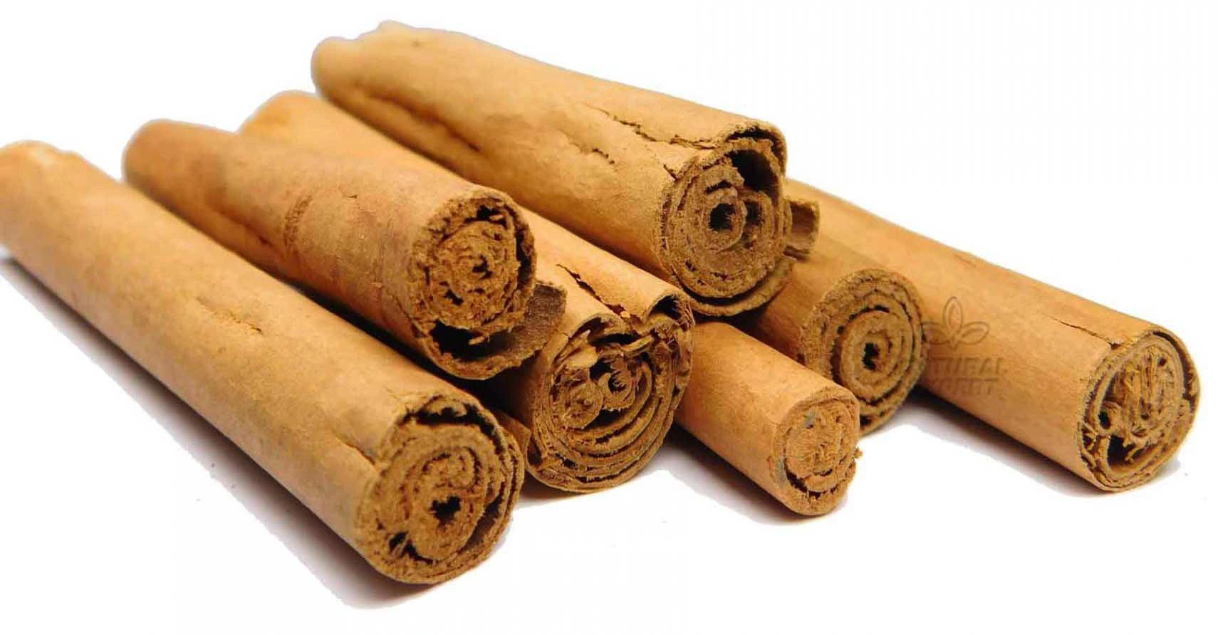 CYNAMON_CEJLOŃSKI_LASKI_5902666905932_2 Cynamon cejloński laski 250g Natural Expert